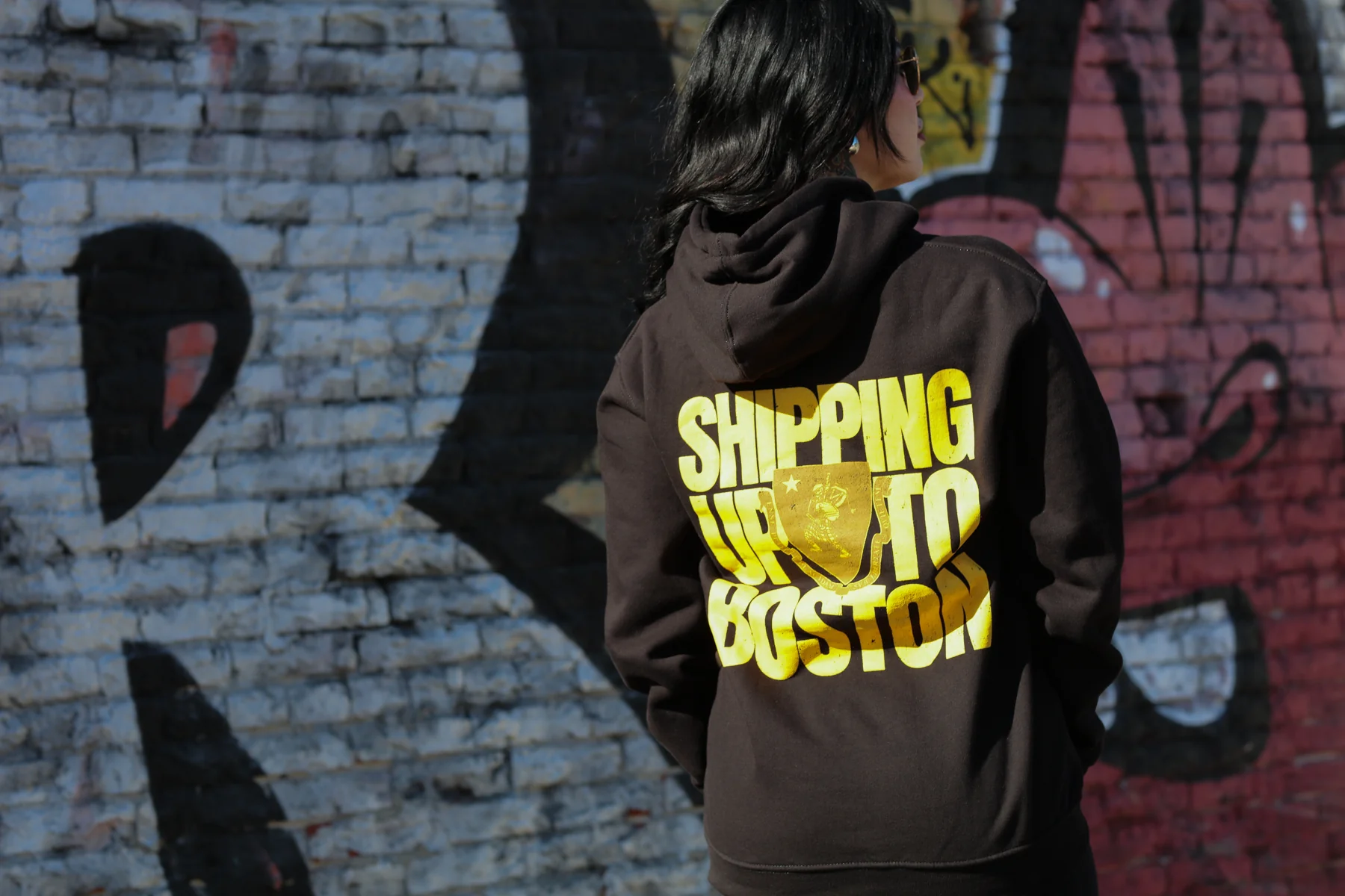 Block Shield Pullover Hoodie (Black) - Image 3