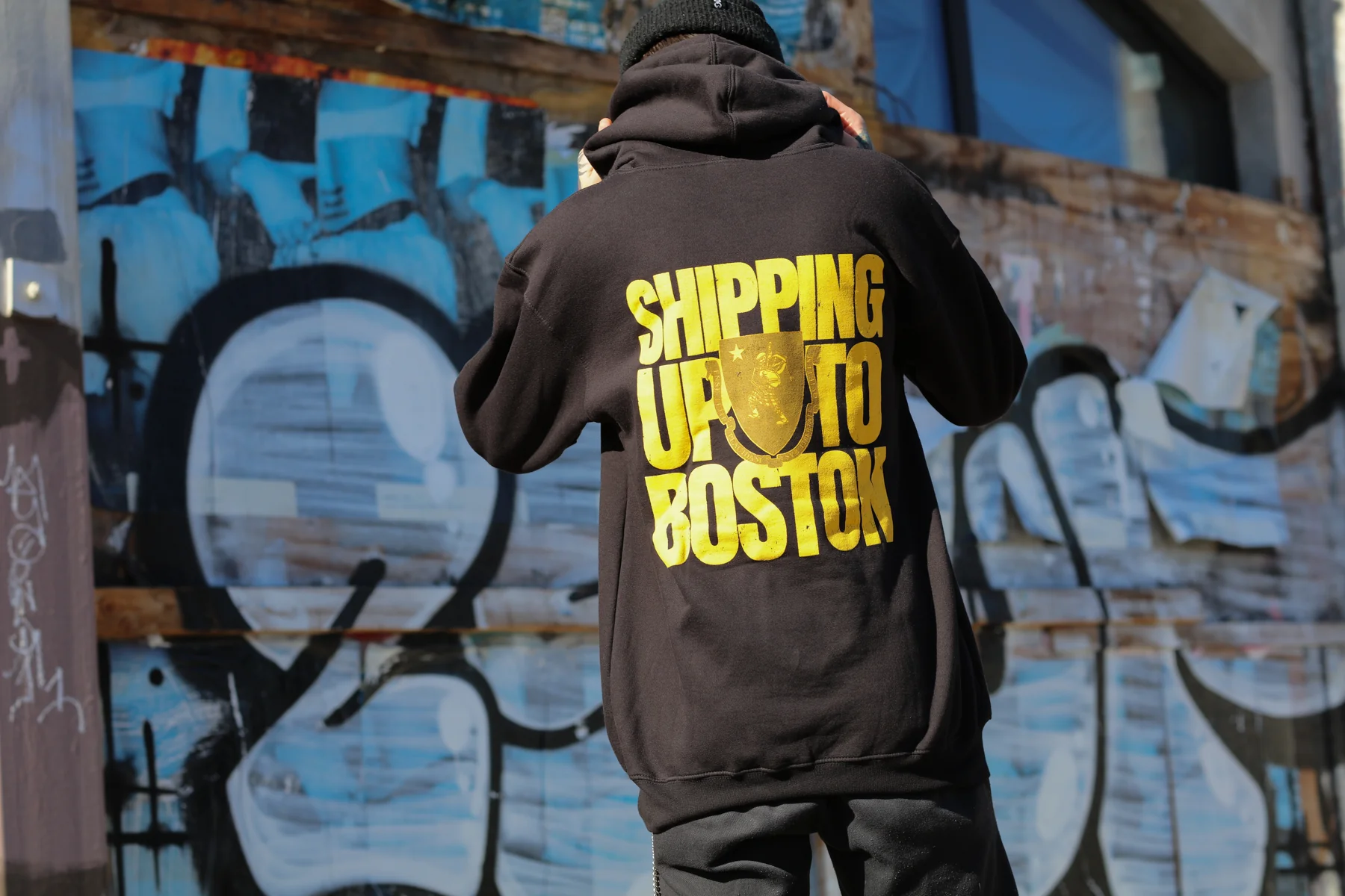 Block Shield Pullover Hoodie (Black) - Image 5